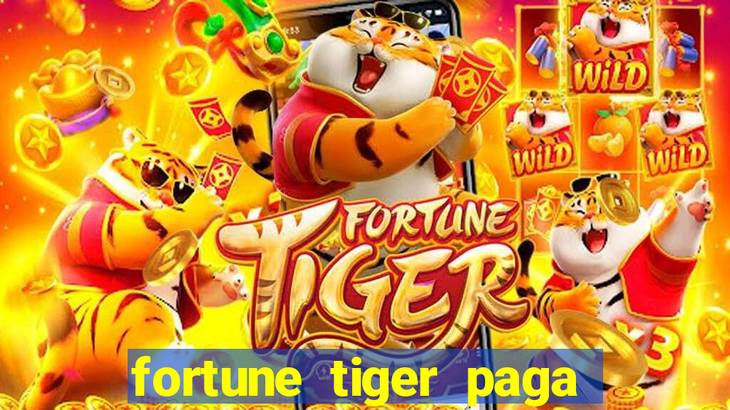 fortune tiger paga de madrugada